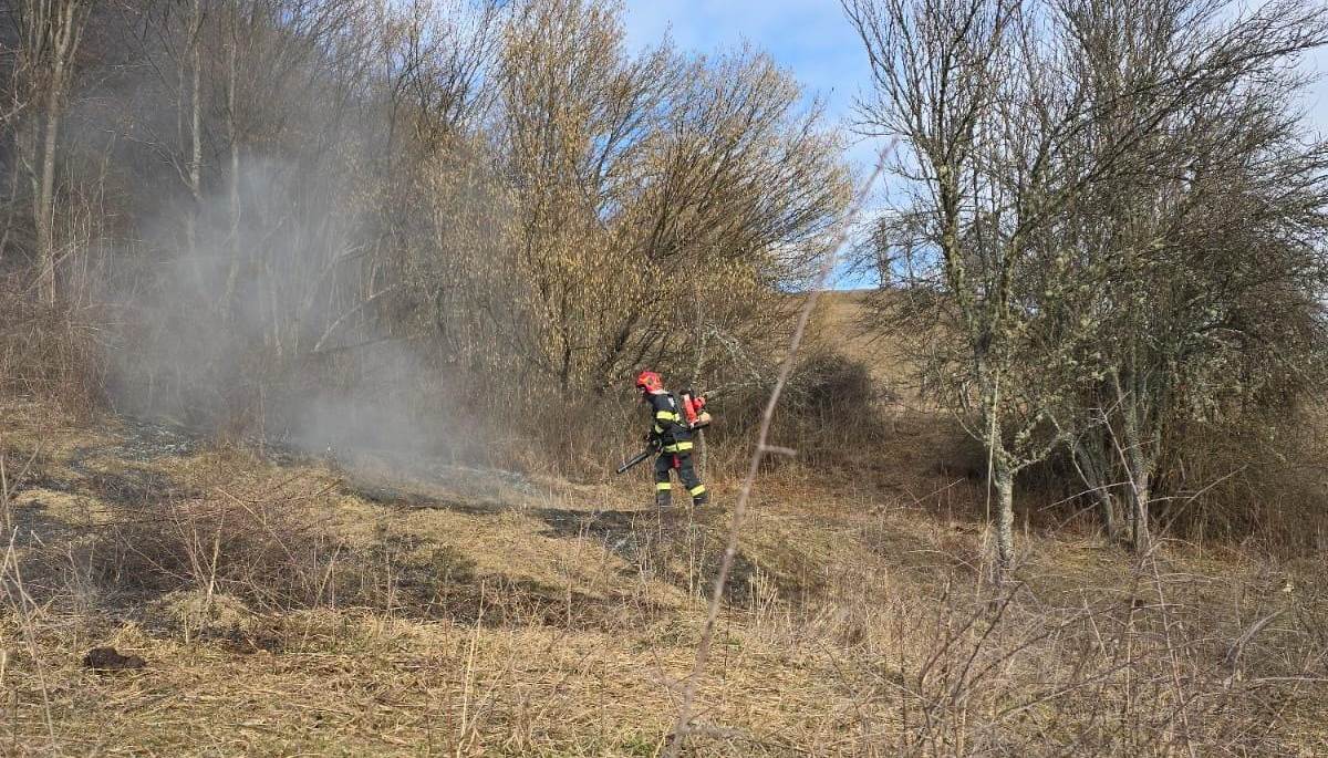 Incendiu de vegetație la Valea Lungă, pe 6 hectare de teren. Intervin pompierii și voluntarii