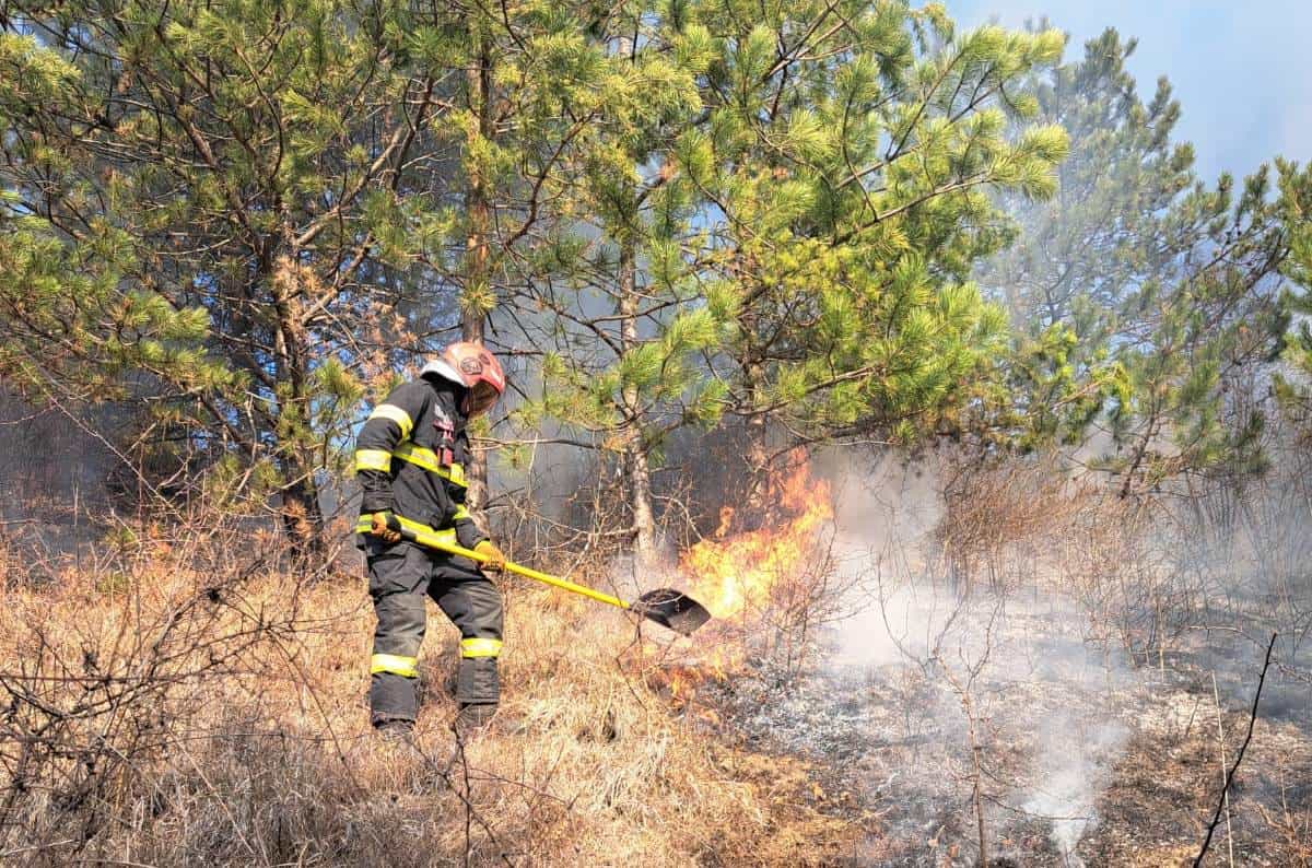 Pompierii și voluntarii din Alba au intervenit la două incendii de vegetație