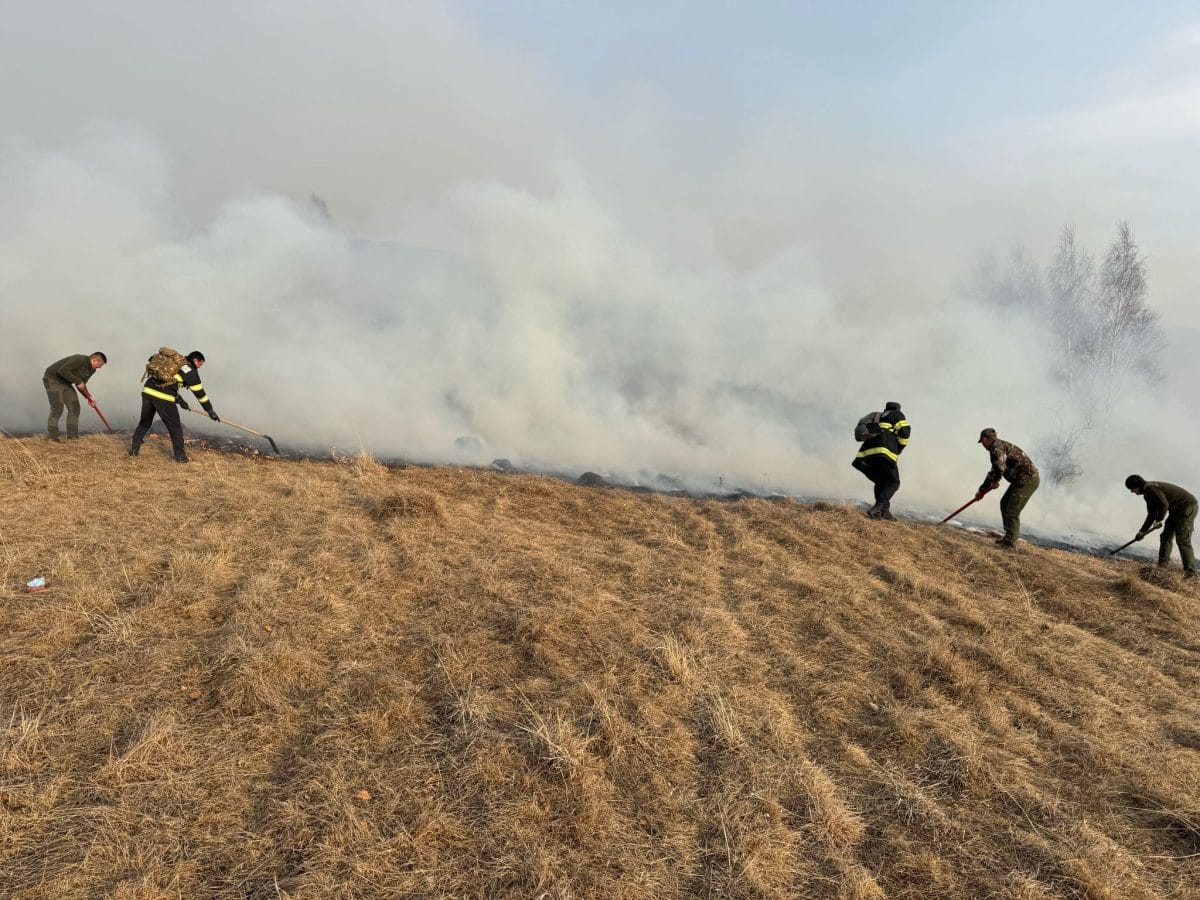 INCENDIU de vegetație uscată la intrarea în localitatea Vidolm. Intervin pompierii din Câmpeni și SVSU Ocoliș
