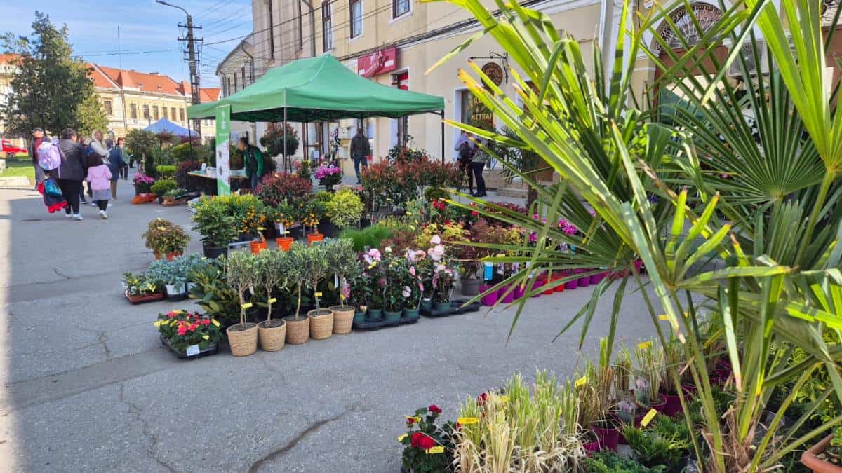 PlantFest Aiud 2026: a doua ediție a evenimentului va fi organizată în luna martie. Producătorii locali, invitați să participe