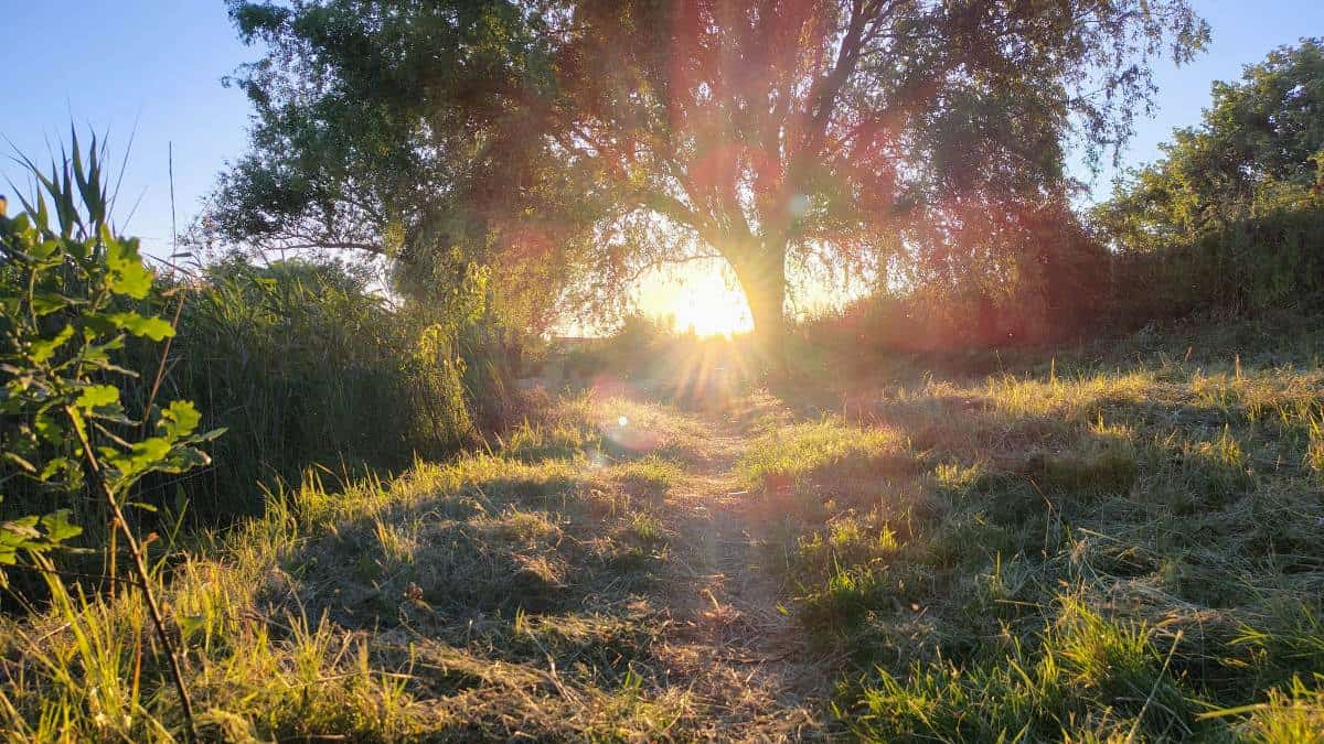 Vara 2026 în Europa: Ce schimbări majore anunță meteorologii. Impactul unui posibil „Super El Niño” asupra temperaturilor