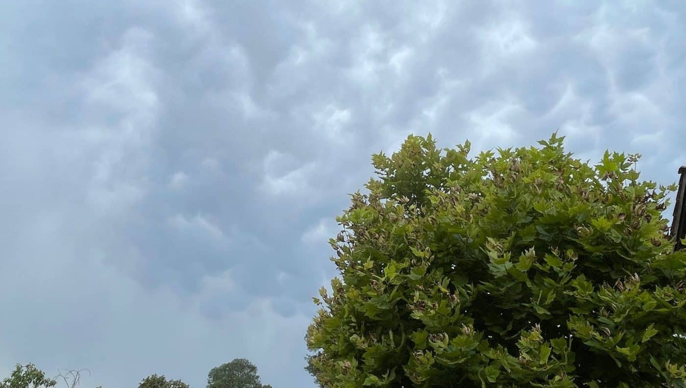 Vremea până în 19 aprilie: Variații mari de temperatură și ploi. Prognoza meteo de Paște 2026 în Transilvania și în țară