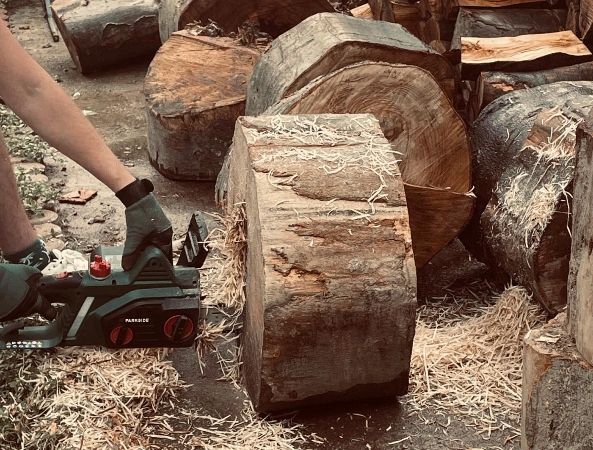 Cum s-a ales un bărbat din Aiud cu trei topoare confiscate, dar și o drujbă. Ce au decis judecătorii după trei ani