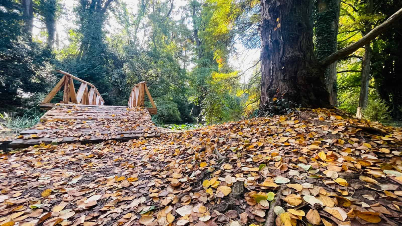 Vremea până în 23 noiembrie în Transilvania și în țară: se mai încălzește, perioade cu ploi. Prognoza meteo pe regiuni