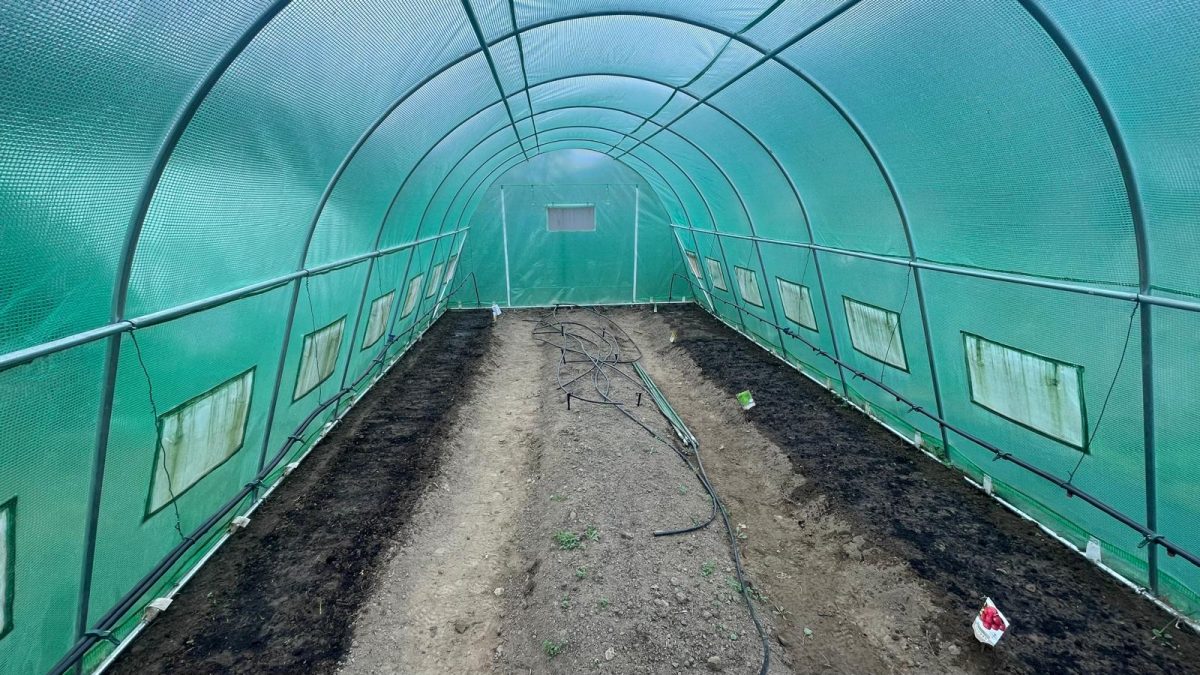 Uniunea Europeană vrea să protejeze mai bine fermierii și furnizorii din UE, care își vând produsele către supermarketuri mari