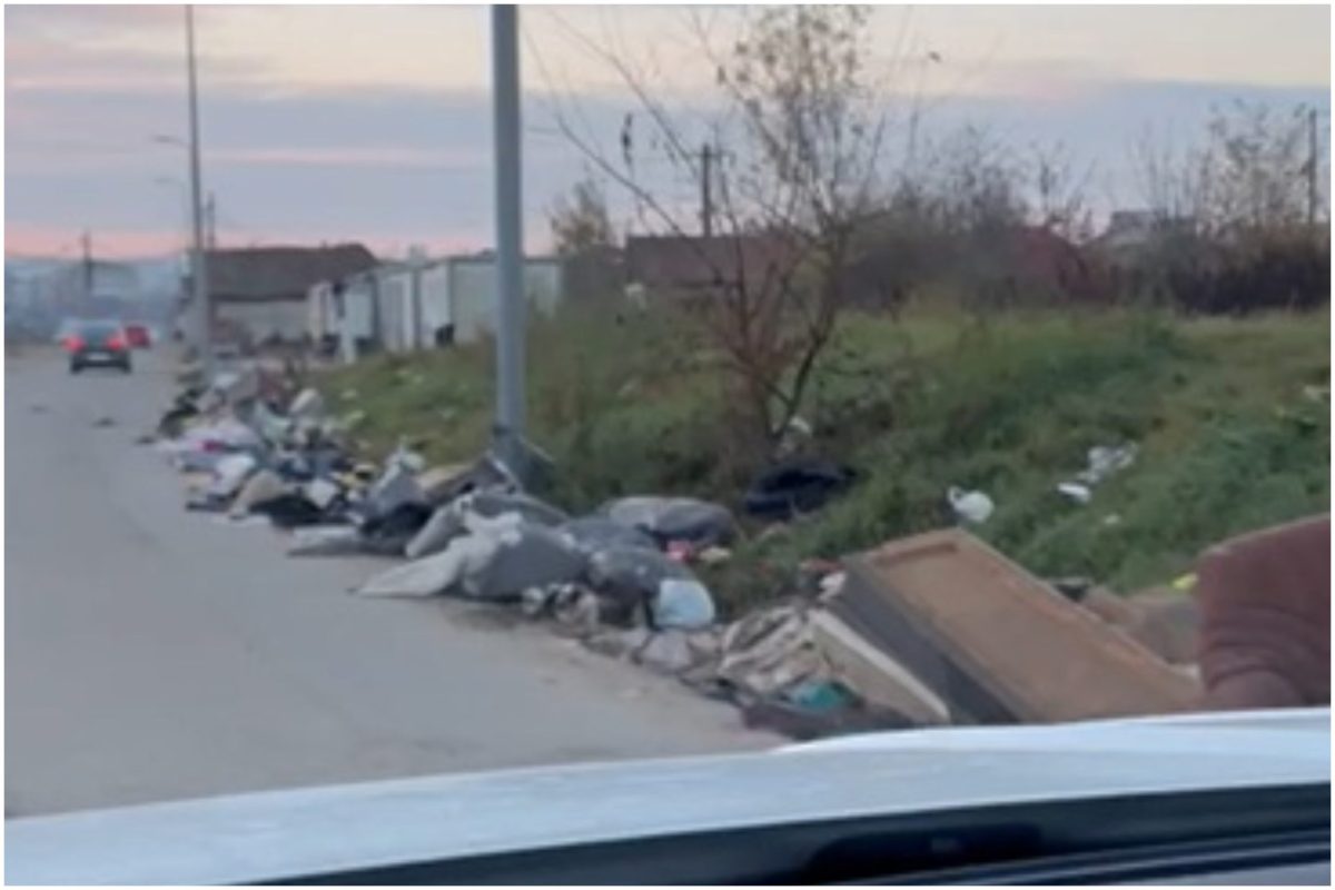 VIDEO: Gunoaie abandonate într-un cartier mărginaș al municipiului Alba Iulia. Canapea ”la ofertă”