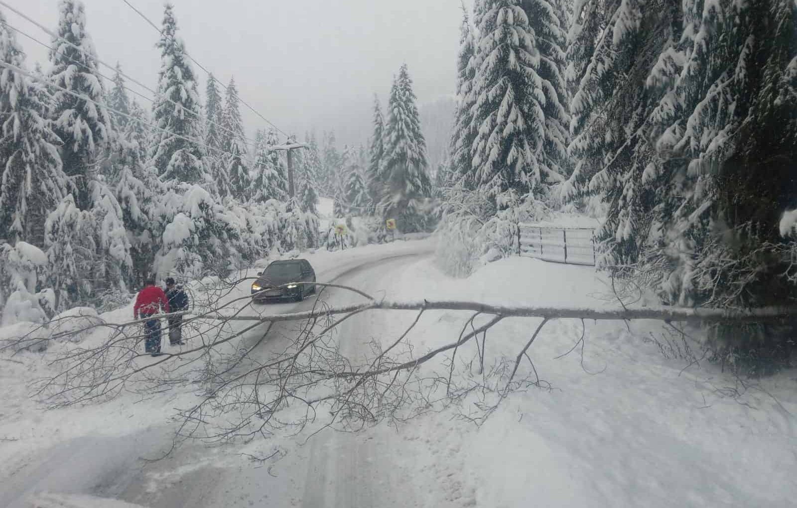 Alba sub zăpadă: Aproape 100 de utilaje intervin pe principalele drumuri din județ, iar 8800 de gospodării nu au energie electrică