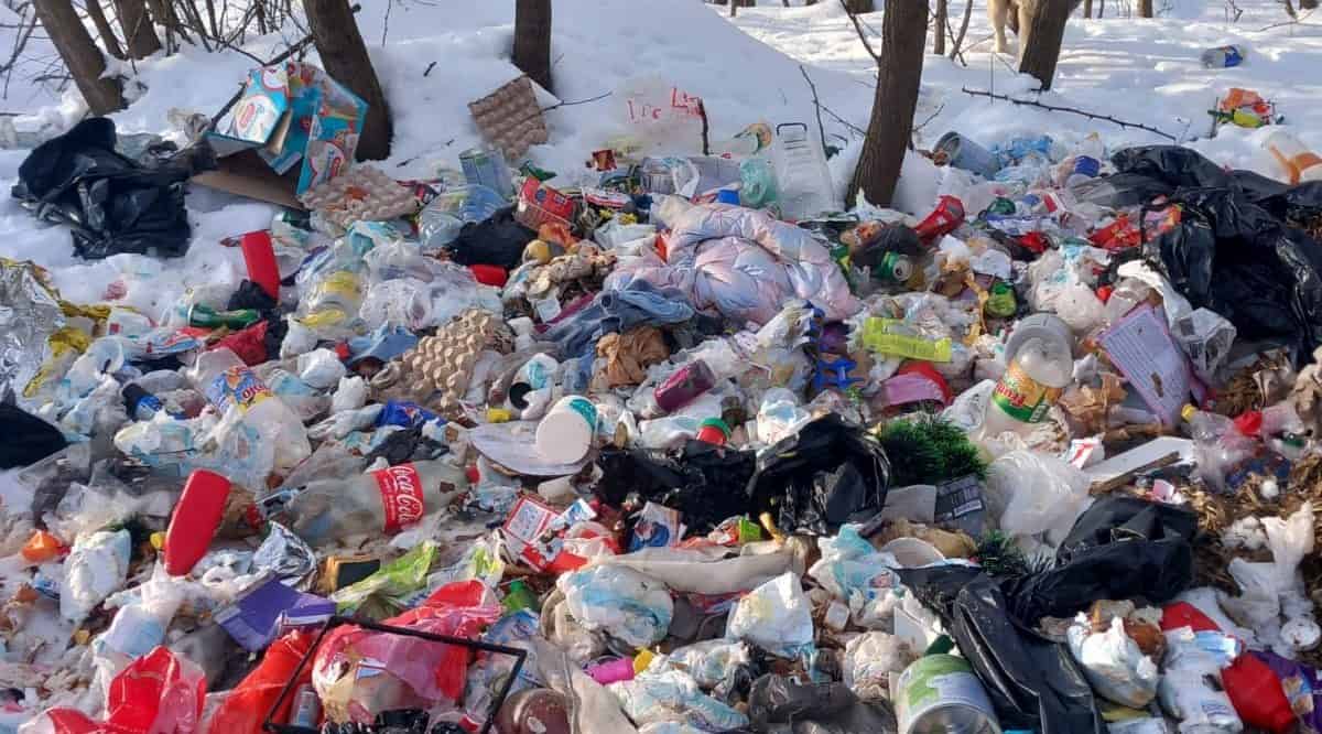 FOTO: O persoană și-a ”uitat” buletinul printre deșeurile aruncate ilegal într-o comună din Alba. Cum a rezolvat primarul situația