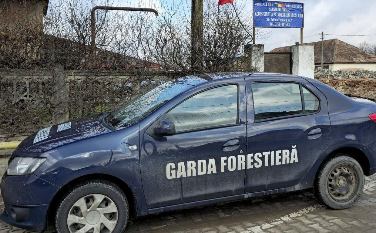 Garda Forestieră face verificări la Aiud. Este vizat un contract de administrare a fondului forestier. Precizările primarului