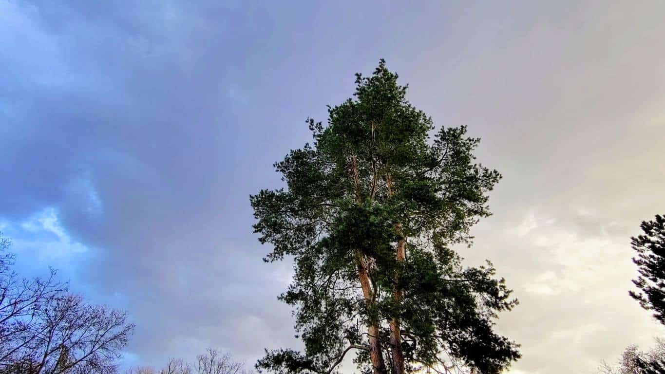 Vremea până în 5 aprilie: variații mari de temperatură, perioade cu ploi. Prognoza meteo în Transilvania și în țară