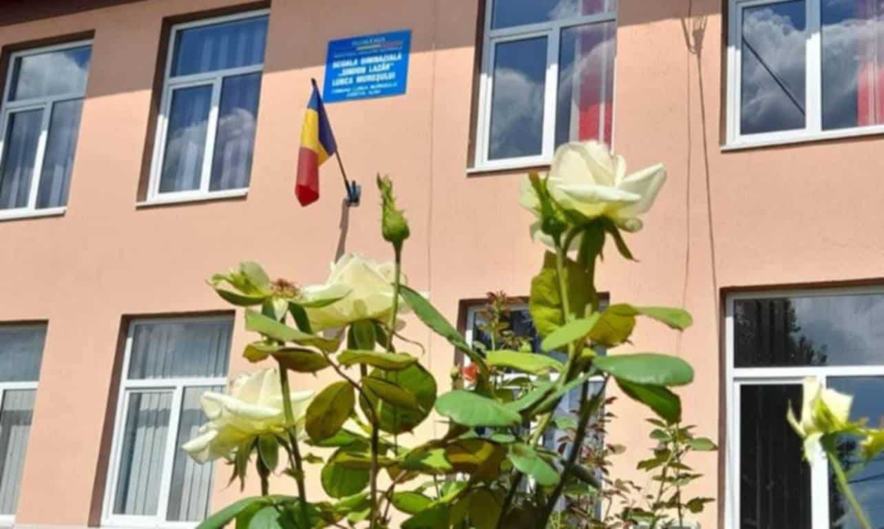 Sute de elevi dintr-o comună din Alba, implicați în acțiune de ecologizare. Plantări de primăvară și târg caritabil