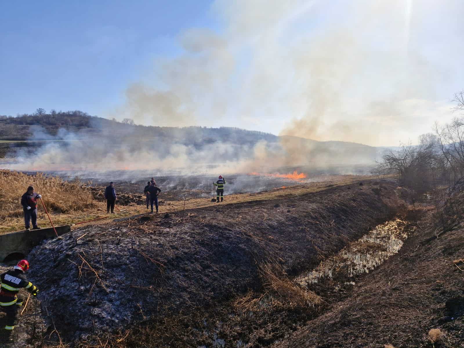 INCENDIU de vegetație uscată, la ieșirea din Blaj spre Cergău Mare