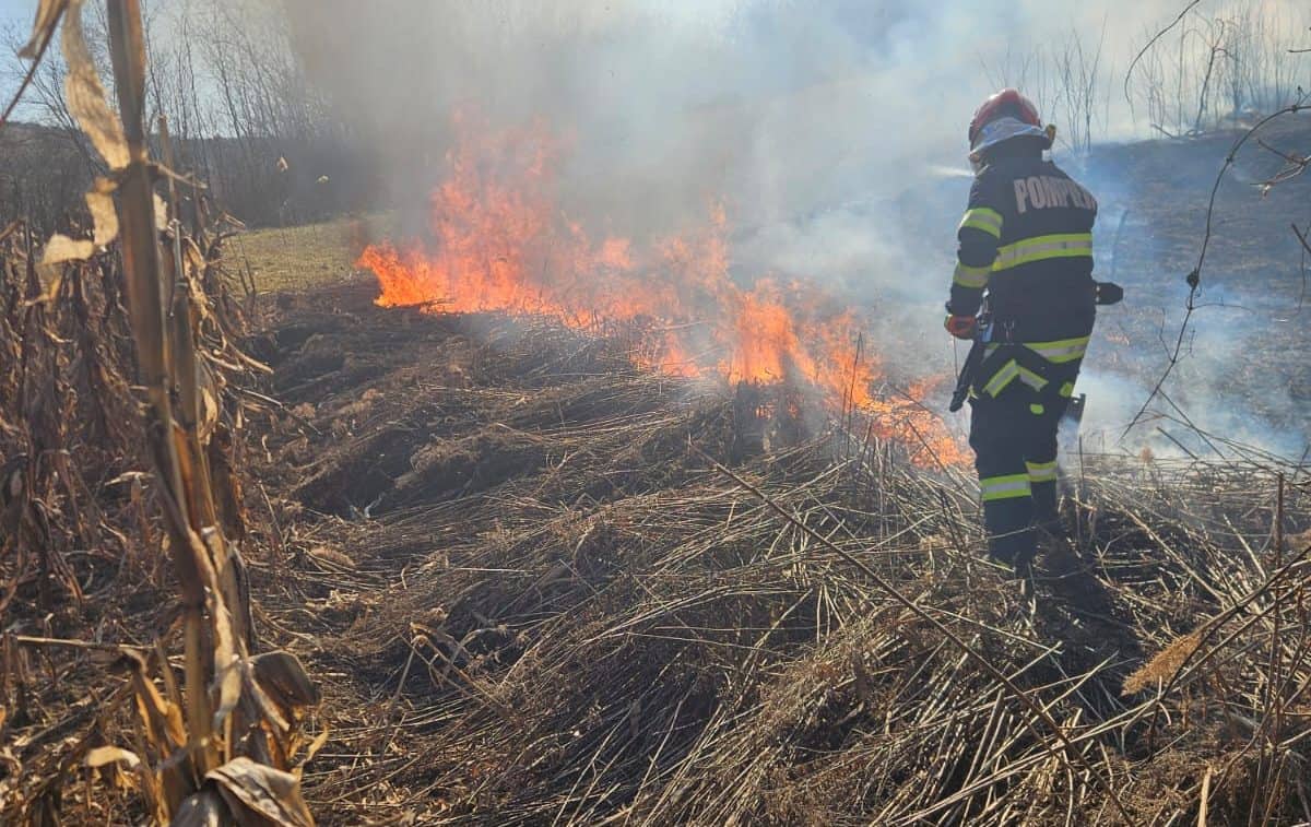 Incendiu de vegetație în comuna Râmeț: O femeie a suferit arsuri grave. Intervin pompierii
