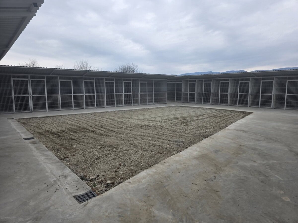 Adăpostul în care ajung câinii fără stăpâni din Alba Iulia, extins. Parteneriat între ONG-ul ”Prietenii lui Azor” și Primărie
