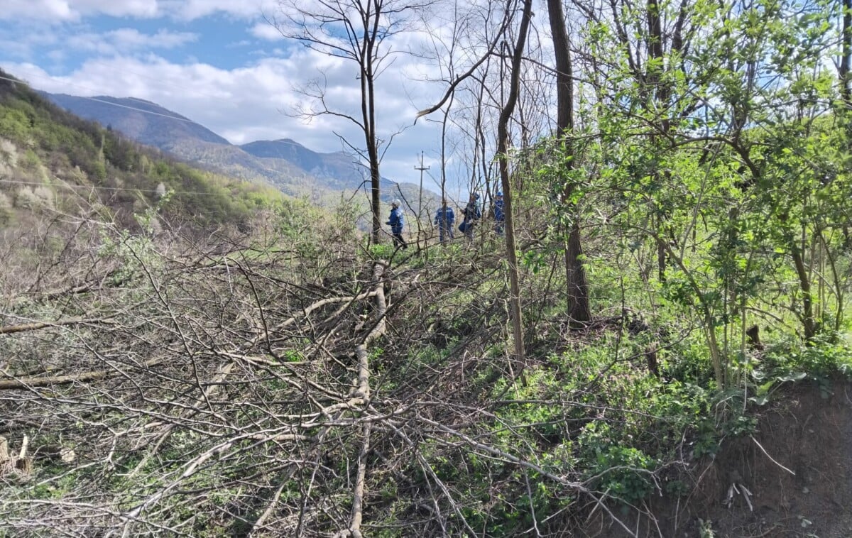 Lucrări de prevenție la rețelele electrice din Alba: Peste 100 de persoane au intervenit la curățarea vegetației din zona liniilor