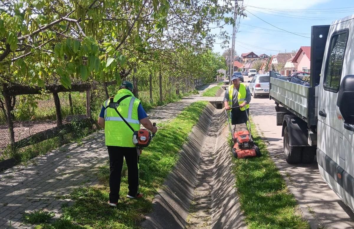 FOTO SPAP Sebeș: întreținerea spațiilor verzi în municipiu. Ce lucrări sunt desfășurate