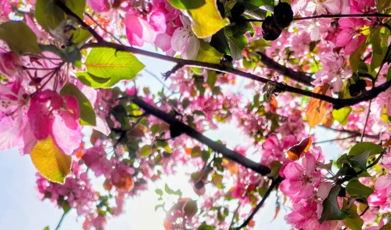 Vremea în Alba, în săptămâna 4-10 mai: temperaturi de vară, apoi mai răcoros și câteva ploi. Prognoza meteo pe zile și localități
