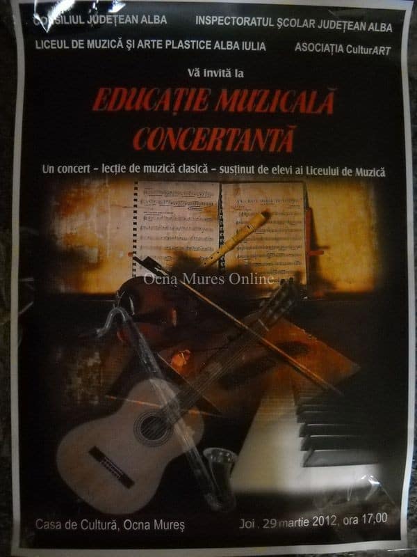 Concert Lecţie De Muzică Clasică La Ocna Mureș Alba24