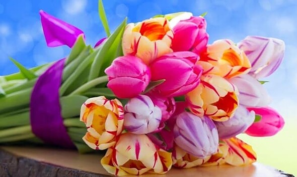 flori 8 martie