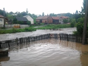 gradina inundata