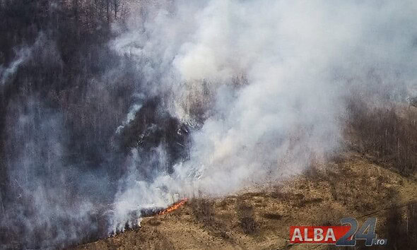incendiu padure