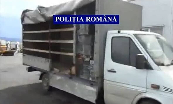 politie