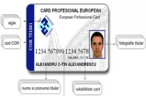 card profesional