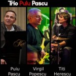 Afis-Trio-Puiu-Pascu-2013-279x300