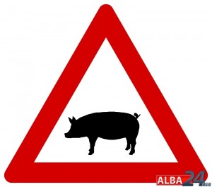 atentie porci indicator