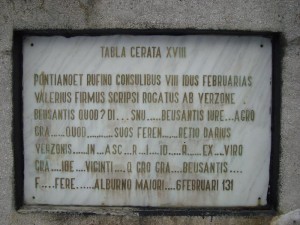 stefania-apostol-reproducerea-placutei-cerate-xviii-alburnus-maior-6-februarie-131