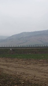 acces teren agricol autostrada sebes rapa rosie