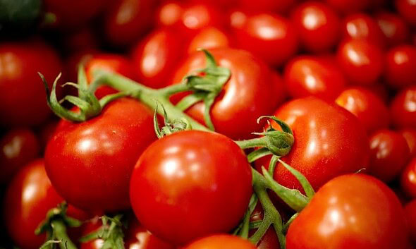 rosii tomate