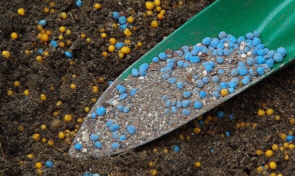 fertilizator, ingrasamant, agricol