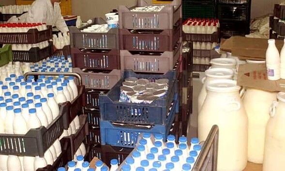 lapte lactate
