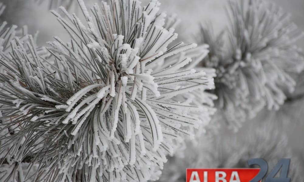 zapada inghetata meteo