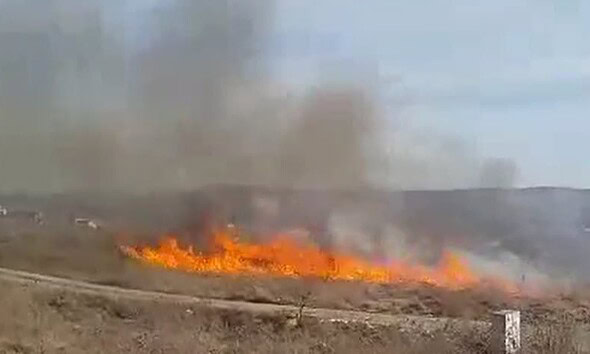 foc
