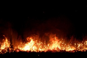 incendiu foc vegetatie uscata