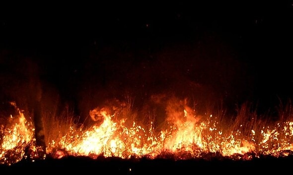 foc