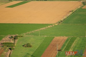 teren agricol 1