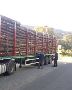 tir lemn transport politia 2