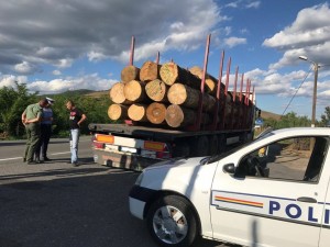 tir lemn transport politia 3