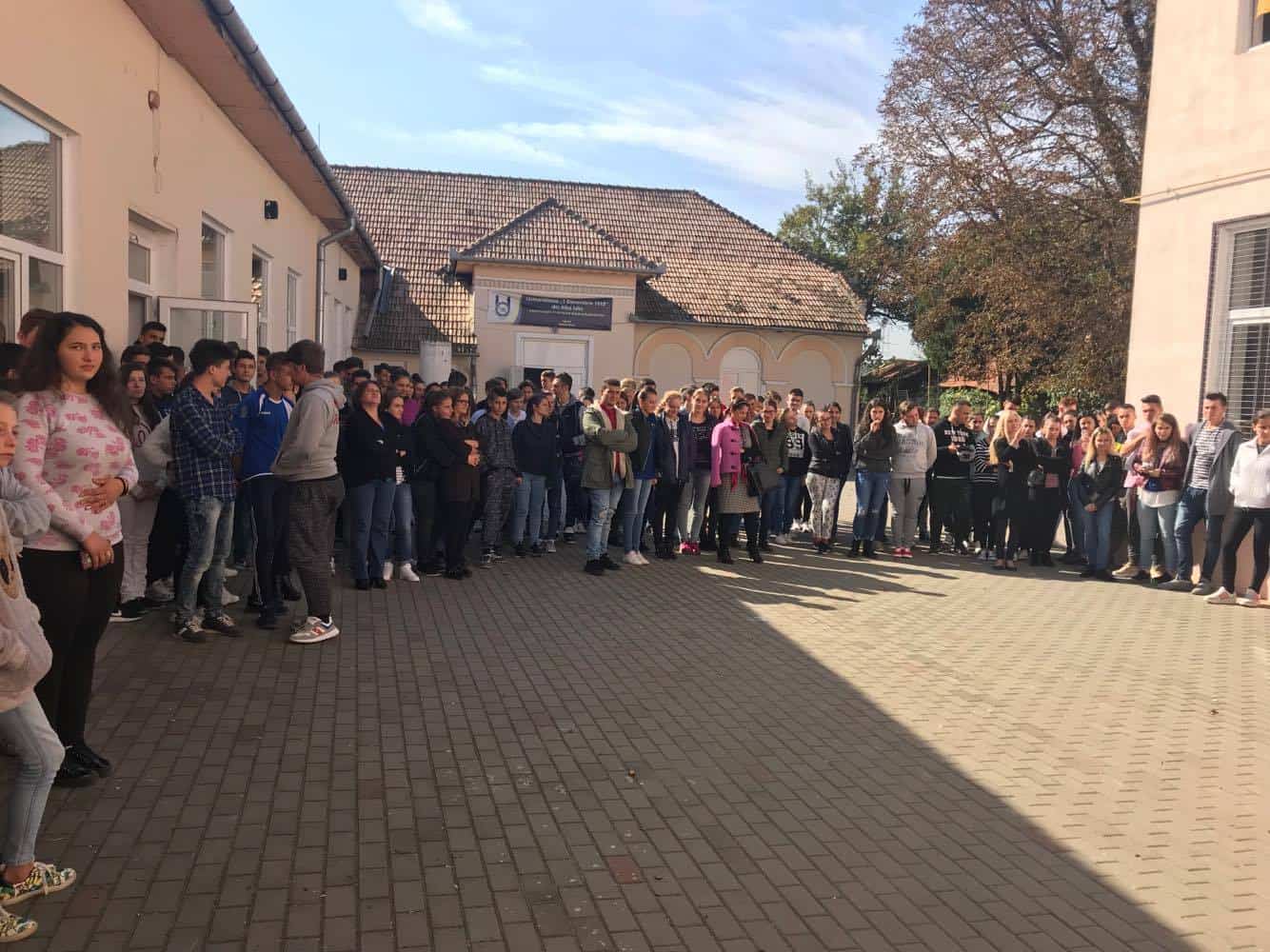 Foto Alegeri La Consiliul Elevilor De La Liceul Teoretic Teiuș