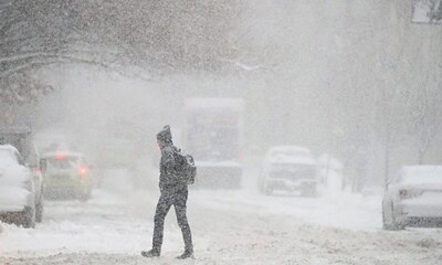 viscol ger frig ninsoare