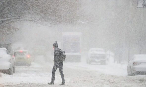 viscol ger frig ninsoare