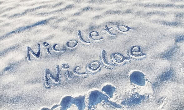 mesaje nicolae