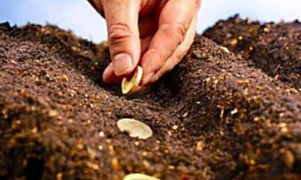 subventii agricultura