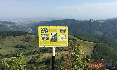 piatra cetii, drumetii, munte, judetul alba, natura