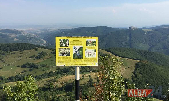 piatra cetii, drumetii, munte, judetul alba, natura