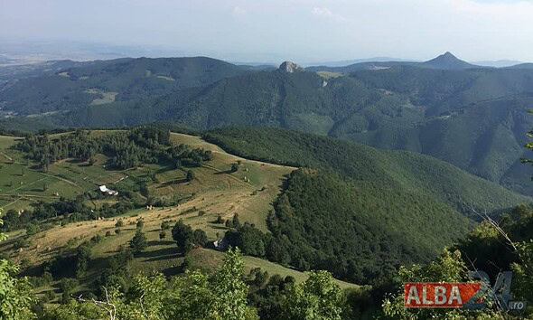 alba, natura, munti, dealuri