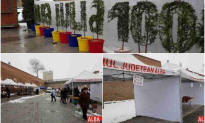 targul gradinarului 2018